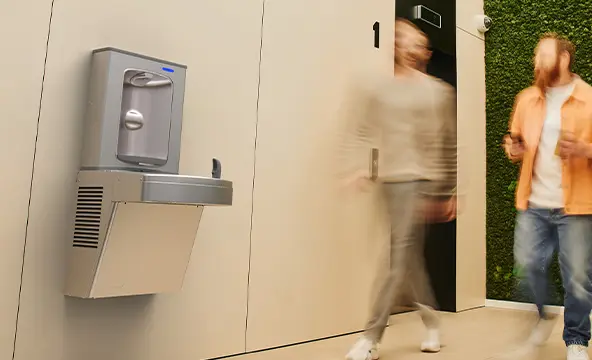 Reasons business bfs oasis 1